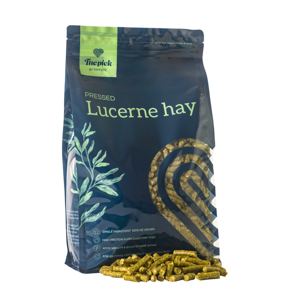 The Pick - Pressed Lucerne Hay