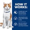 Prescription Diet Feline ONC Care Cans