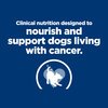 Prescription Diet Canine ONC Care Cans