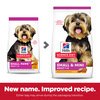 Science Diet Canine Adult Small & Mini