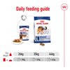 R/C Maxi Dog Adult Wet  Food