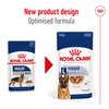 R/C Maxi Dog Adult Wet  Food