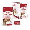 Medium Adult Pouches