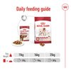 Medium Wet Adult Food