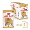 Adult Poodle Wet Dog Food