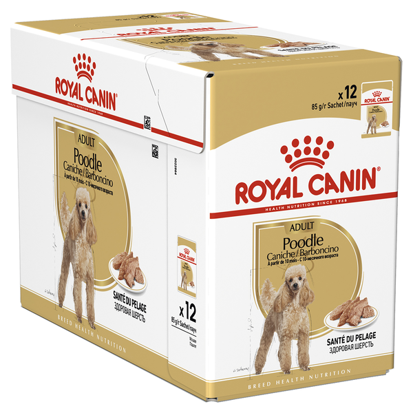Adult Poodle Wet Dog Food
