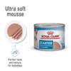 Mother & Baby Starter Mousse