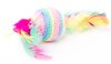 Rainbow Feather Cat Toy