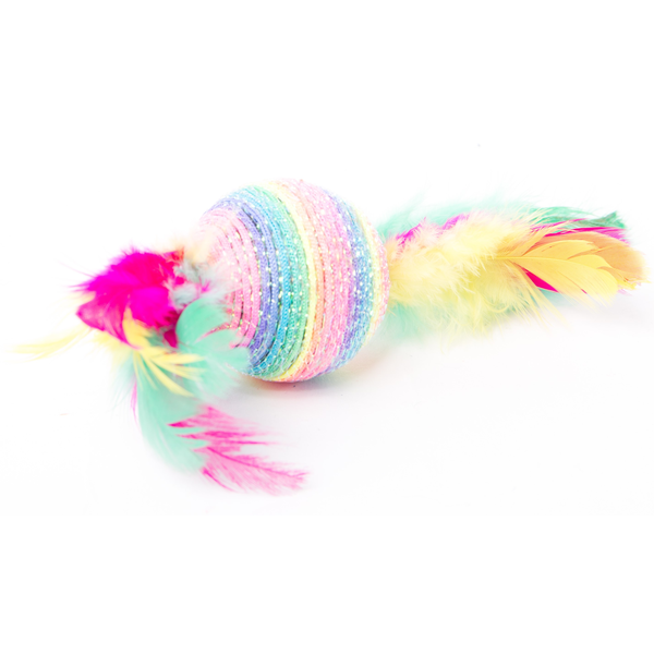 Rainbow Feather Cat Toy
