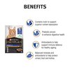 ProPlan Senior 7+ Cat Chicken Wet Food