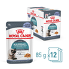 Hairball Care Cat Jelly