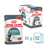 Hairball Care Gravy