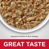 Science Diet Feline Adult Healthy Cuisine Chicken & Rice Canned