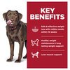 Science Diet Canine Adult Perfect Weight Large Breed