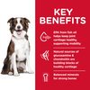 Science Diet Canine Adult Healthy Mobility Large Breed