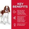 Science Diet Canine Adult Healthy Mobility