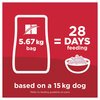 Science Diet Canine Senior Vitality 7+
