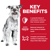 Science Diet Canine Senior Small & Mini 7+
