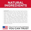 Science Diet Canine Adult Oral Care