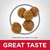 Science Diet Canine Adult Small Bites