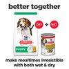 Science Diet Puppy