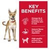 Science Diet Canine Adult