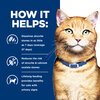 Prescription Diet Feline c/d Multicare Cans
