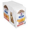 Prescription Diet Feline c/d Multicare Salmon Pouches