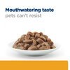 Prescription Diet Feline c/d Multicare Salmon Pouches