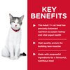Science Diet Feline Senior 11+ 