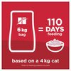 Science Diet Feline Senior 7+