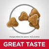 Science Diet Feline Senior 7+ Hairball Control