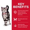 Science Diet Hills Feline Adult Indoor
