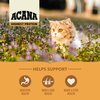 Acana Wild Prairie Cat Food