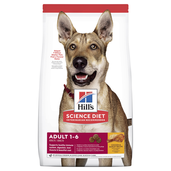 Science Diet Canine Adult