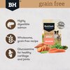 Grain Free Adult Salmon