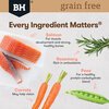 Grain Free Adult Salmon