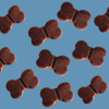 Joint Boost Chews