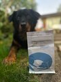 Joint Boost Chews
