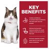 Hill's Science Diet Adult Perfect Digestion Cat Food
