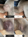 Paw & Body Soak - 100g