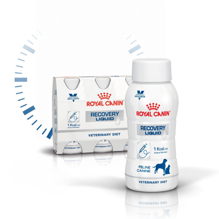 Recovery Liquid Gastrointestinal 3 x 200ml