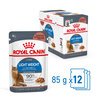 Light Weight Care Gravy Pouches