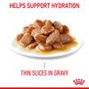 Light Weight Care Gravy Pouches