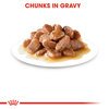 Indoor 7+ Cat Gravy