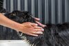 Conditioning Fur Mask Pouch