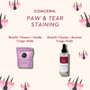 Kombucha Micellar Cleansing Spritz