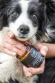 Lavender Sweet Orange Moisture Balm