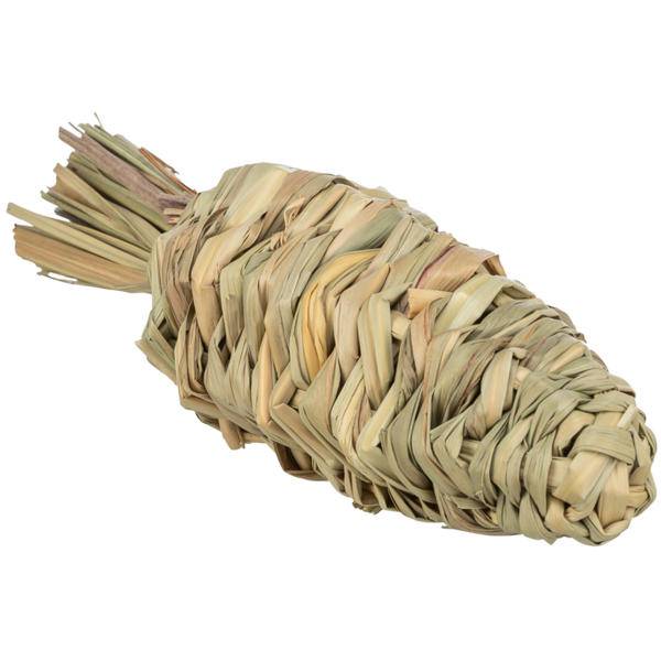Grass Carrot 