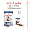 Maxi Ageing Dog 8+